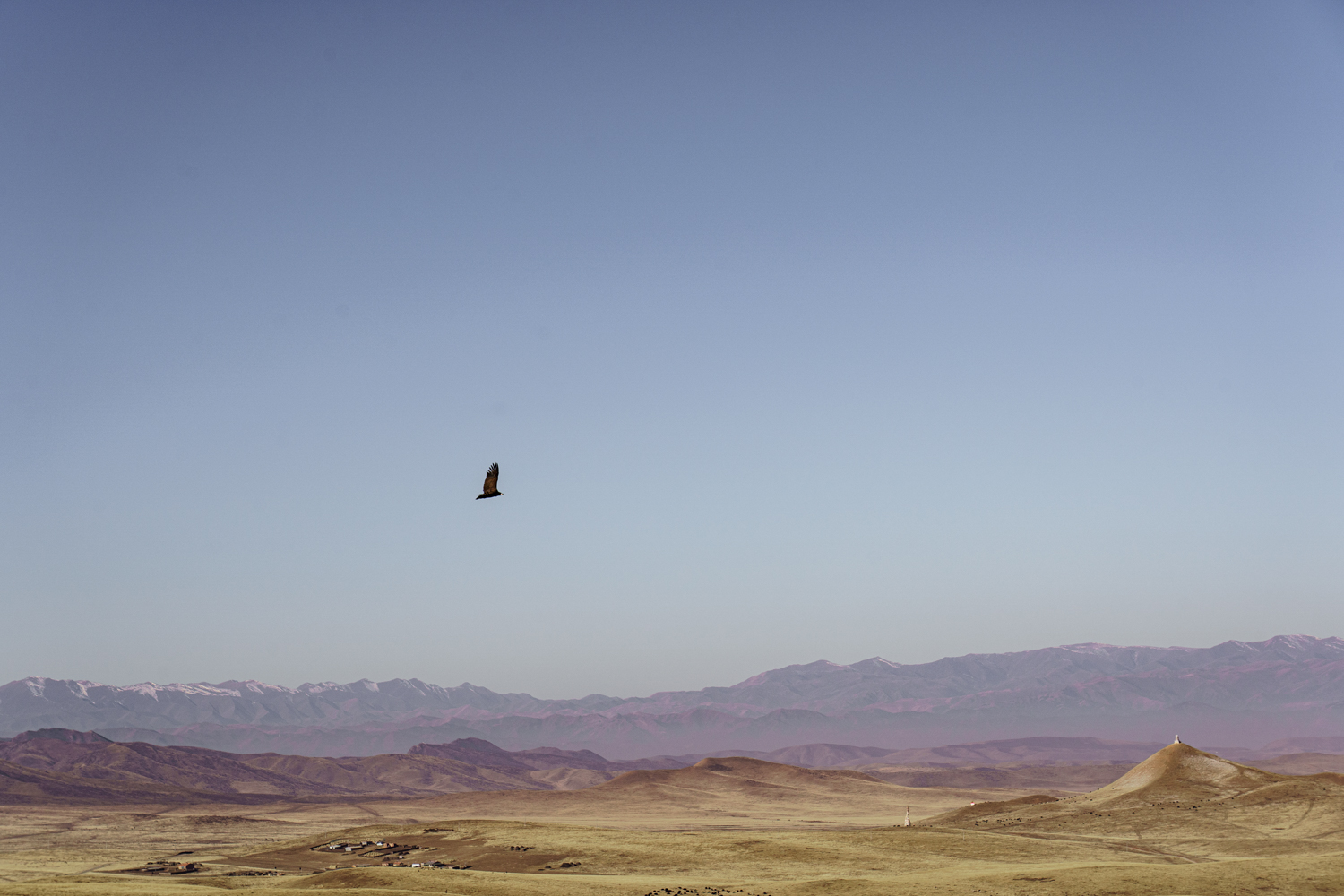 Wide Open Spaces