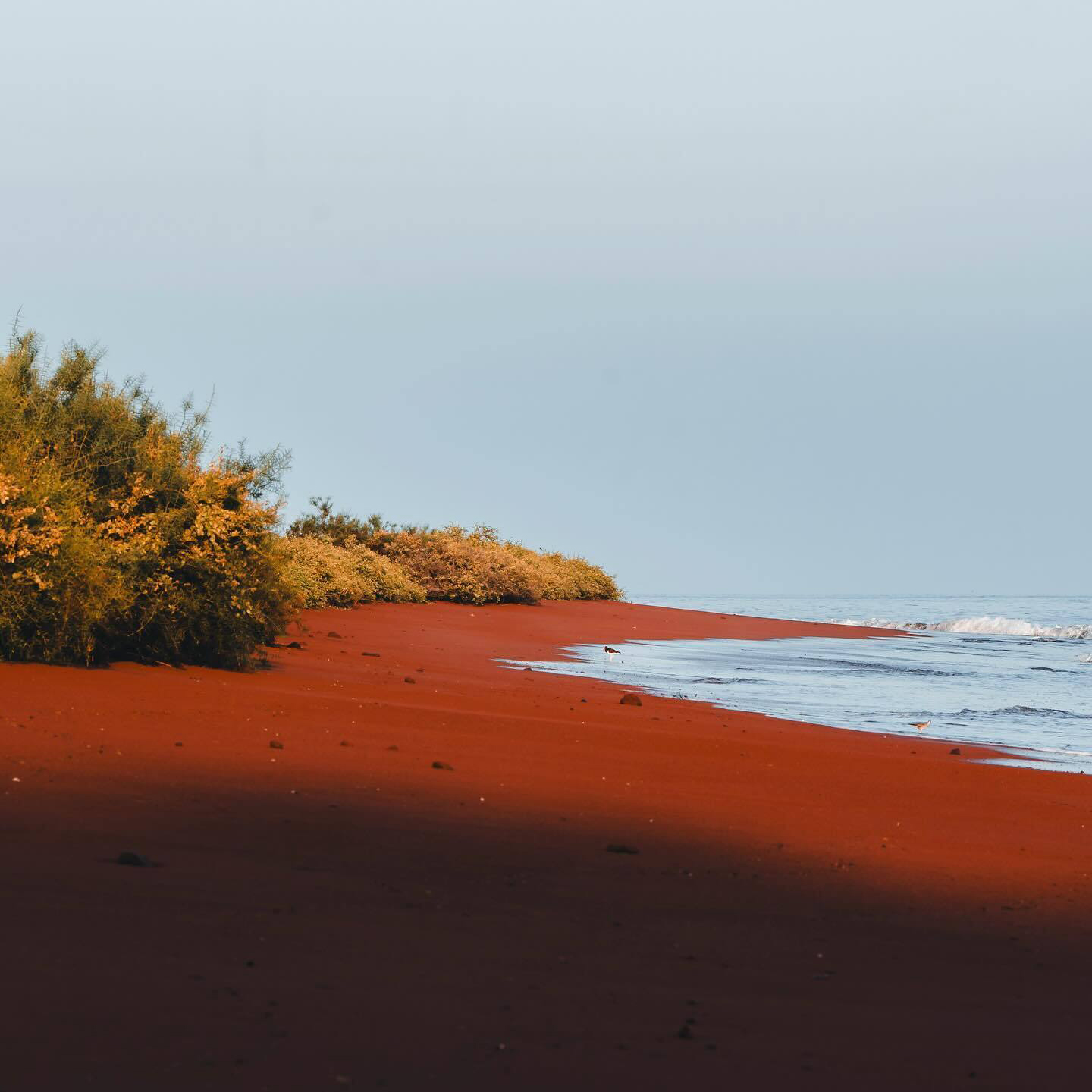 Galapagos