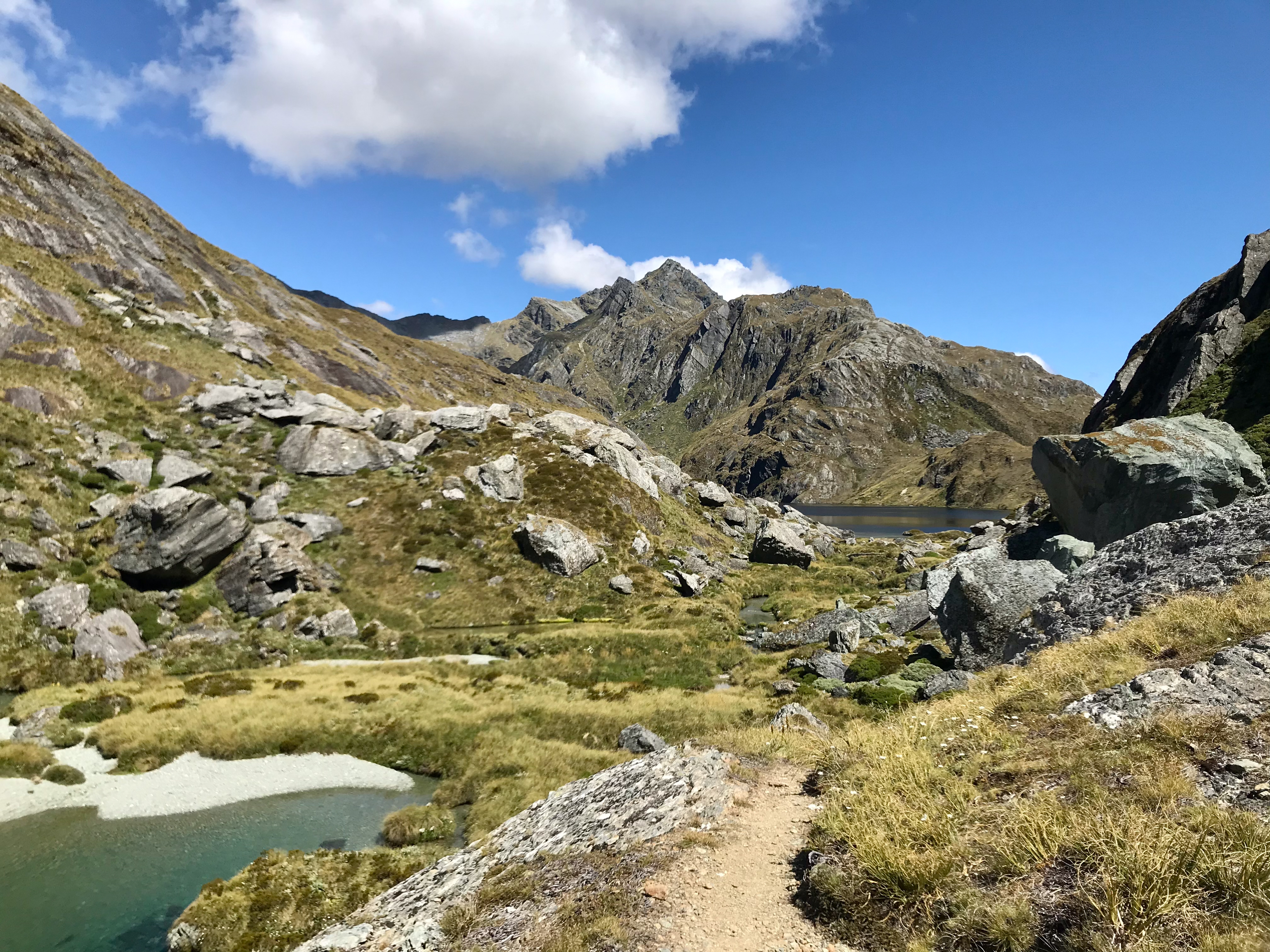 Routeburn track