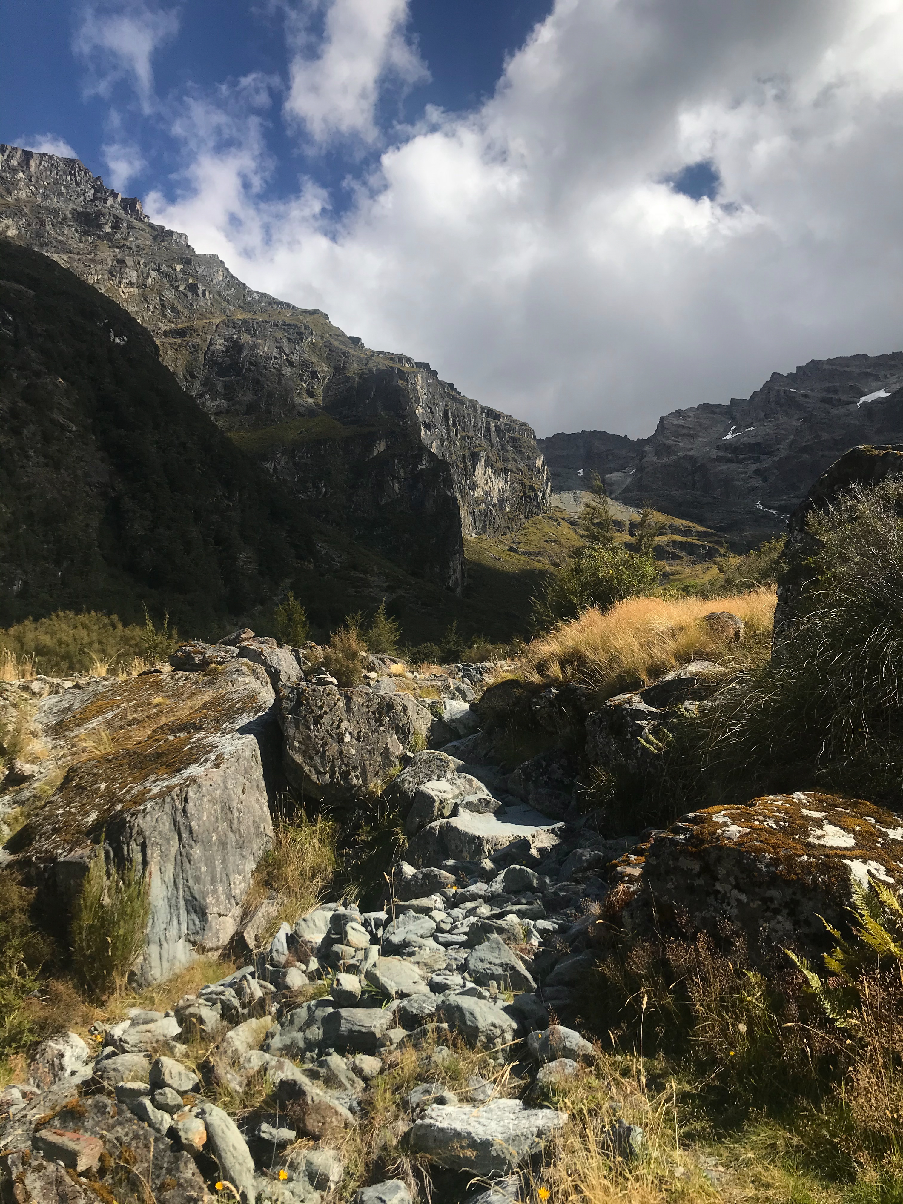 NZ