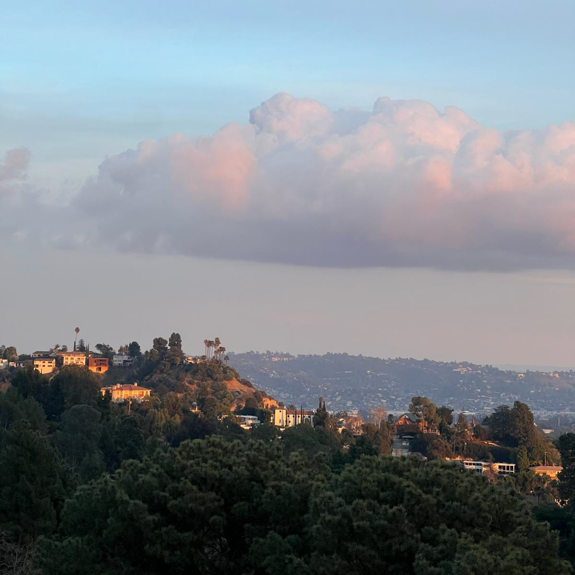 LA