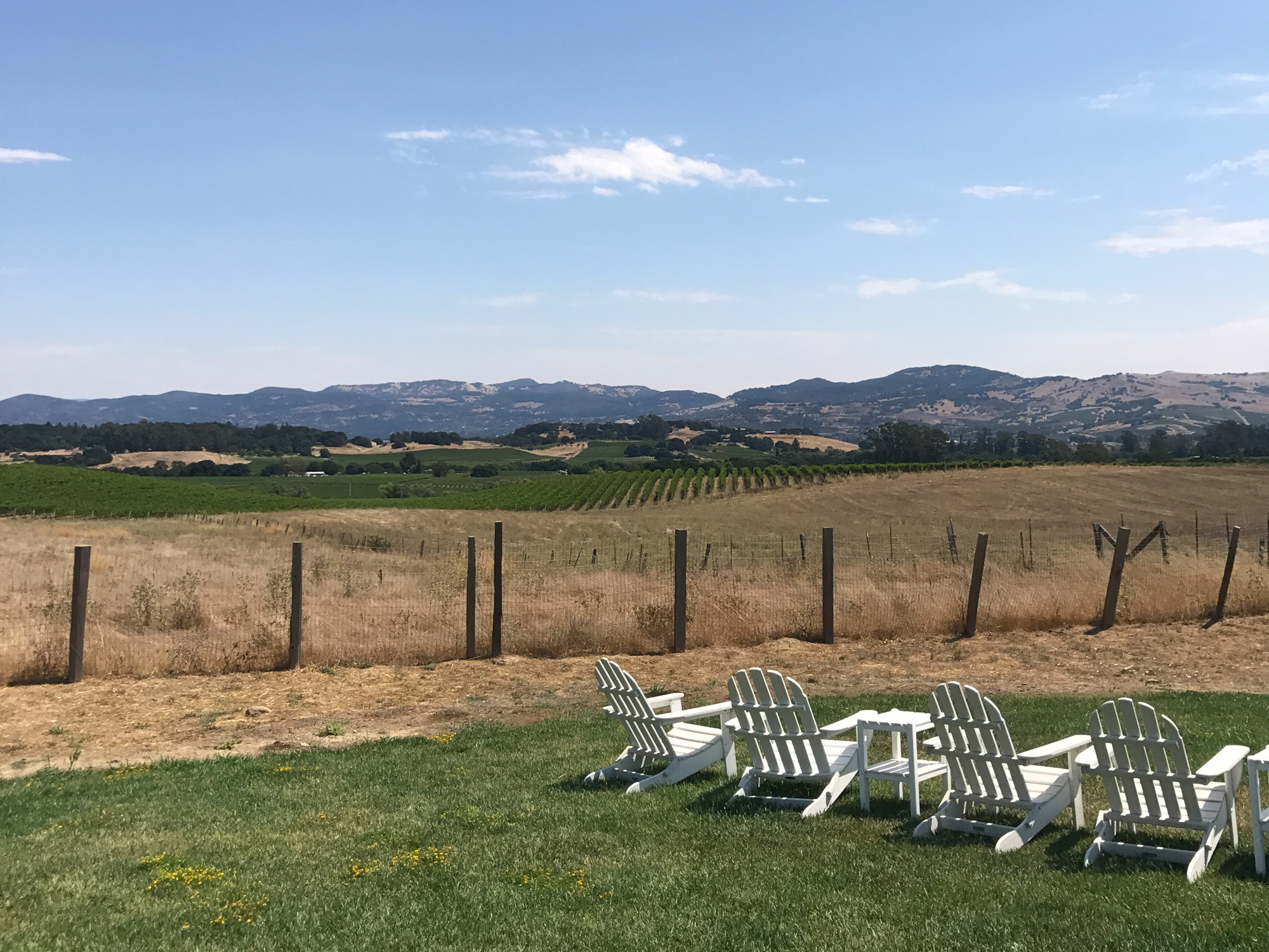 Napa