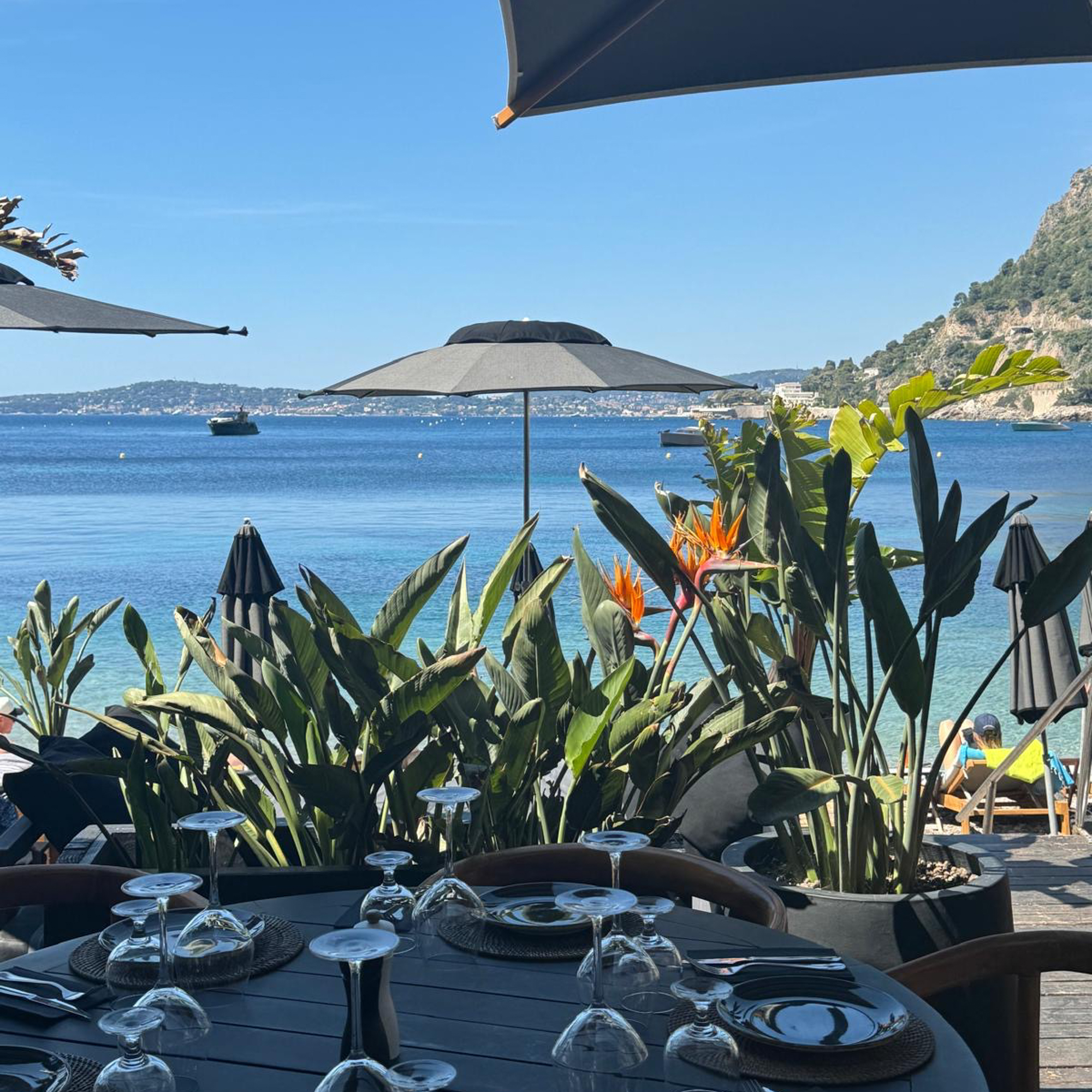 South of France