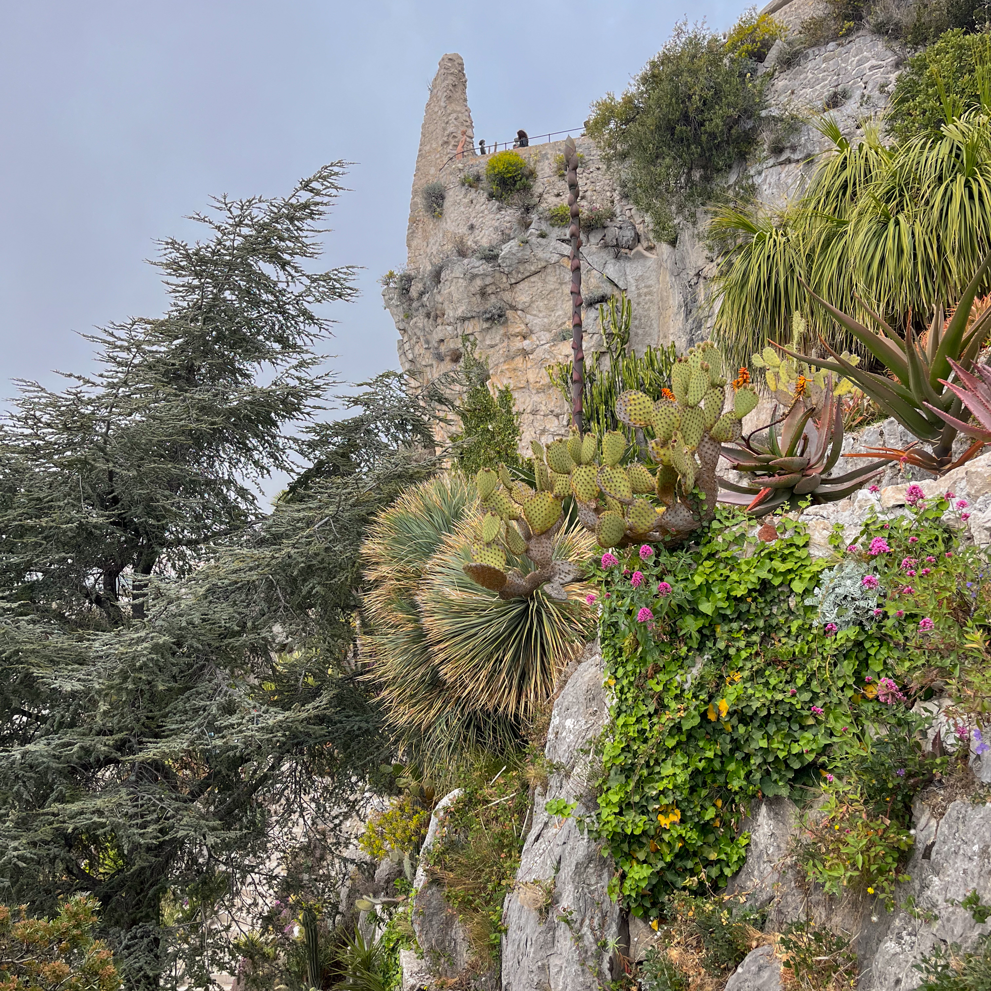 South of France