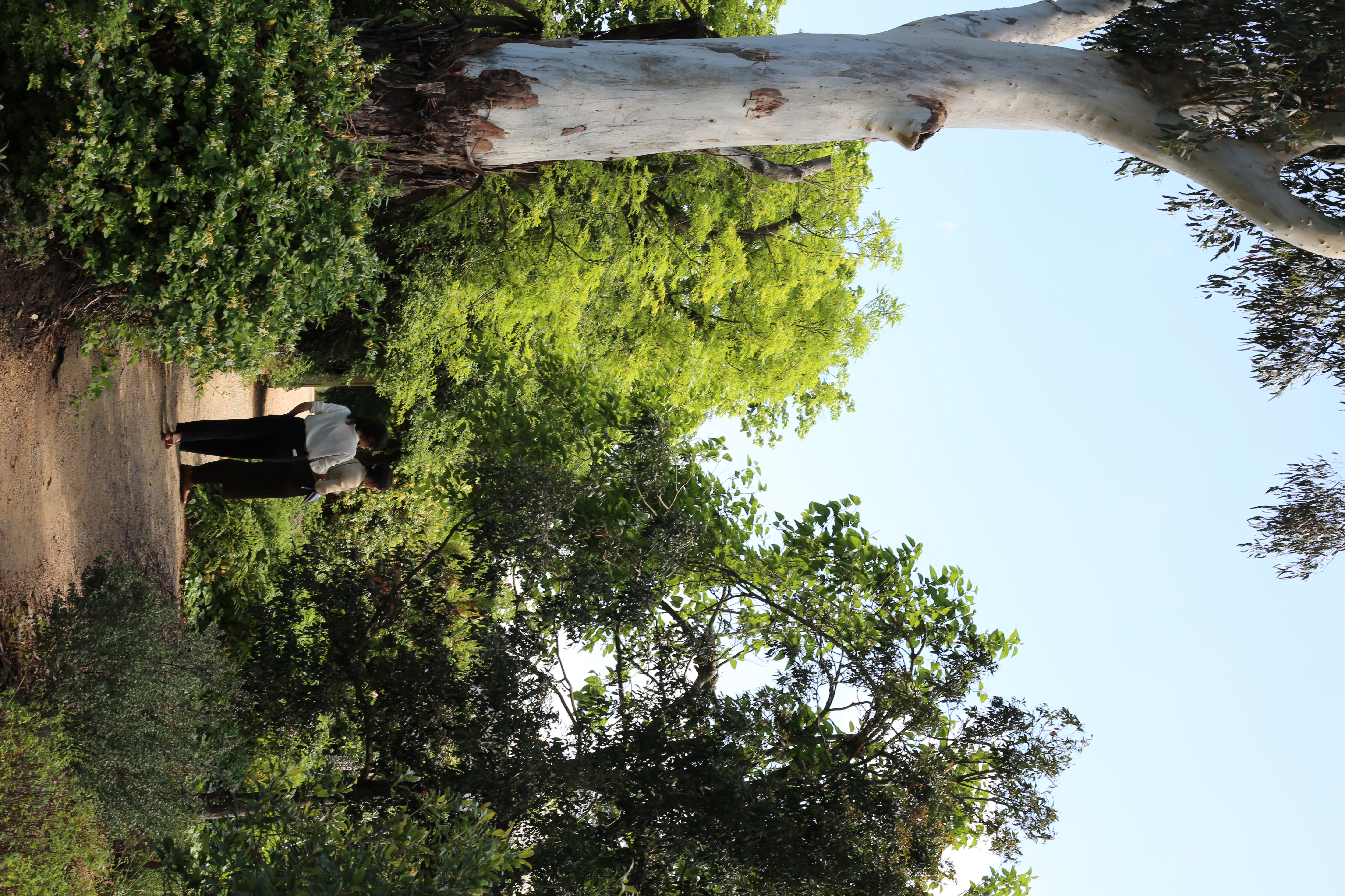 Heide Gallery Gardens