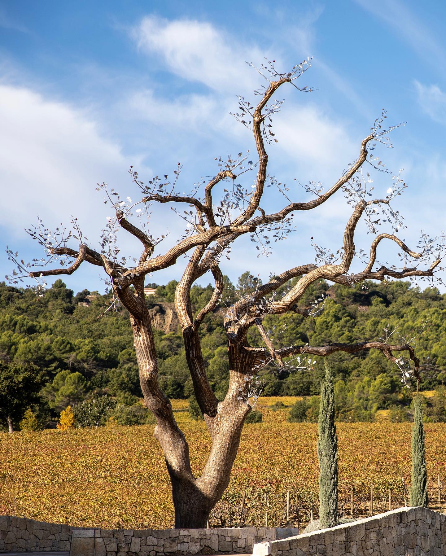 Château La Coste