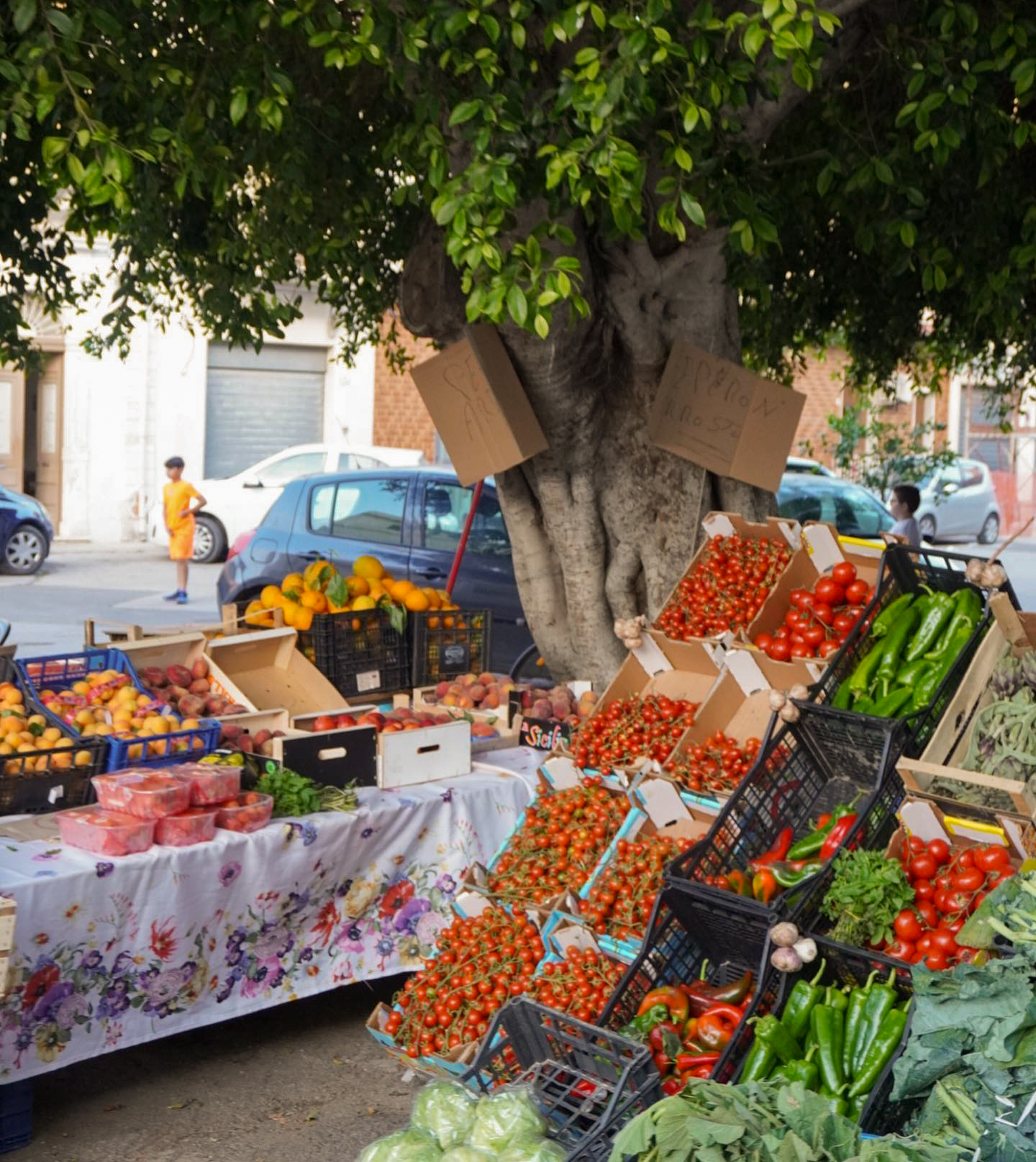 Sicily