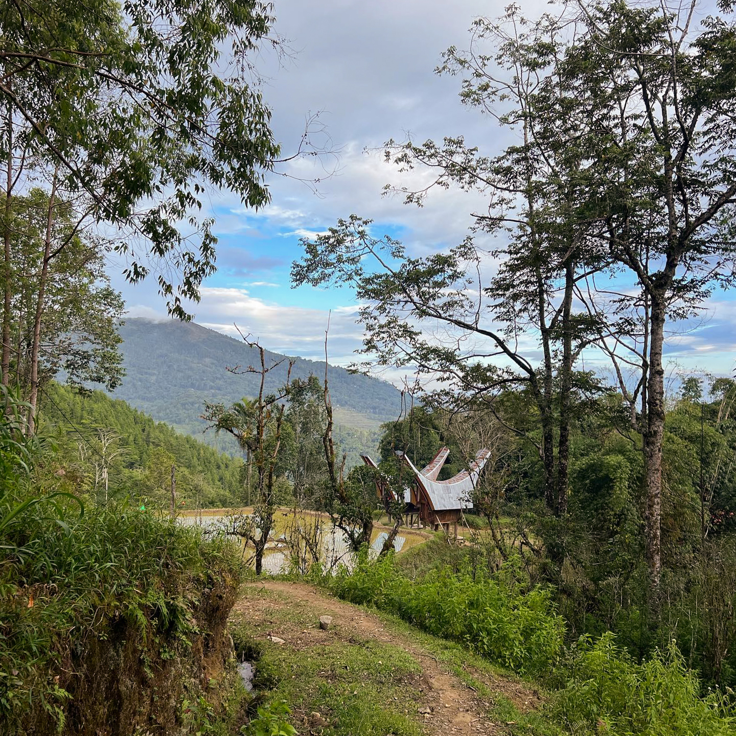 Toraja