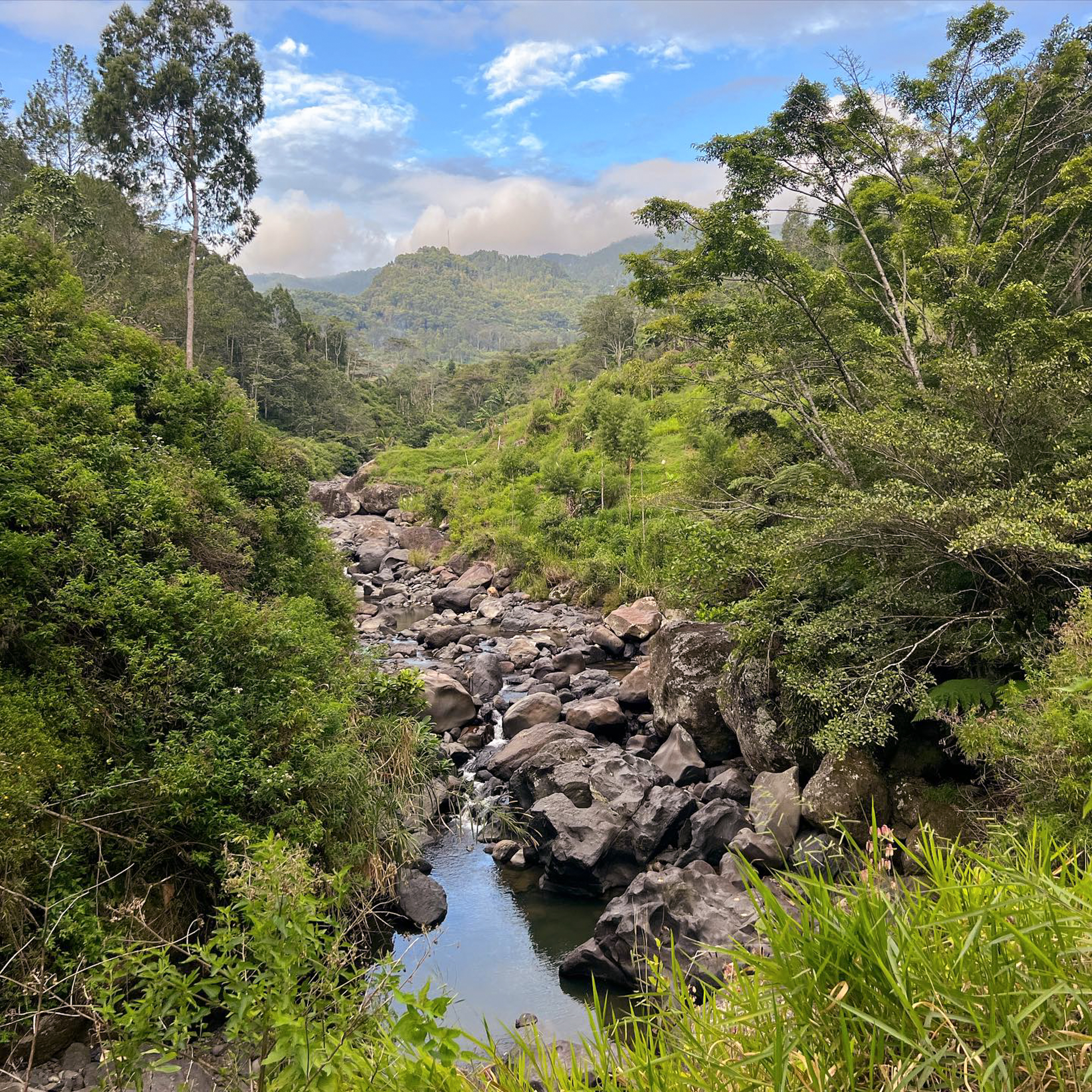 Toraja