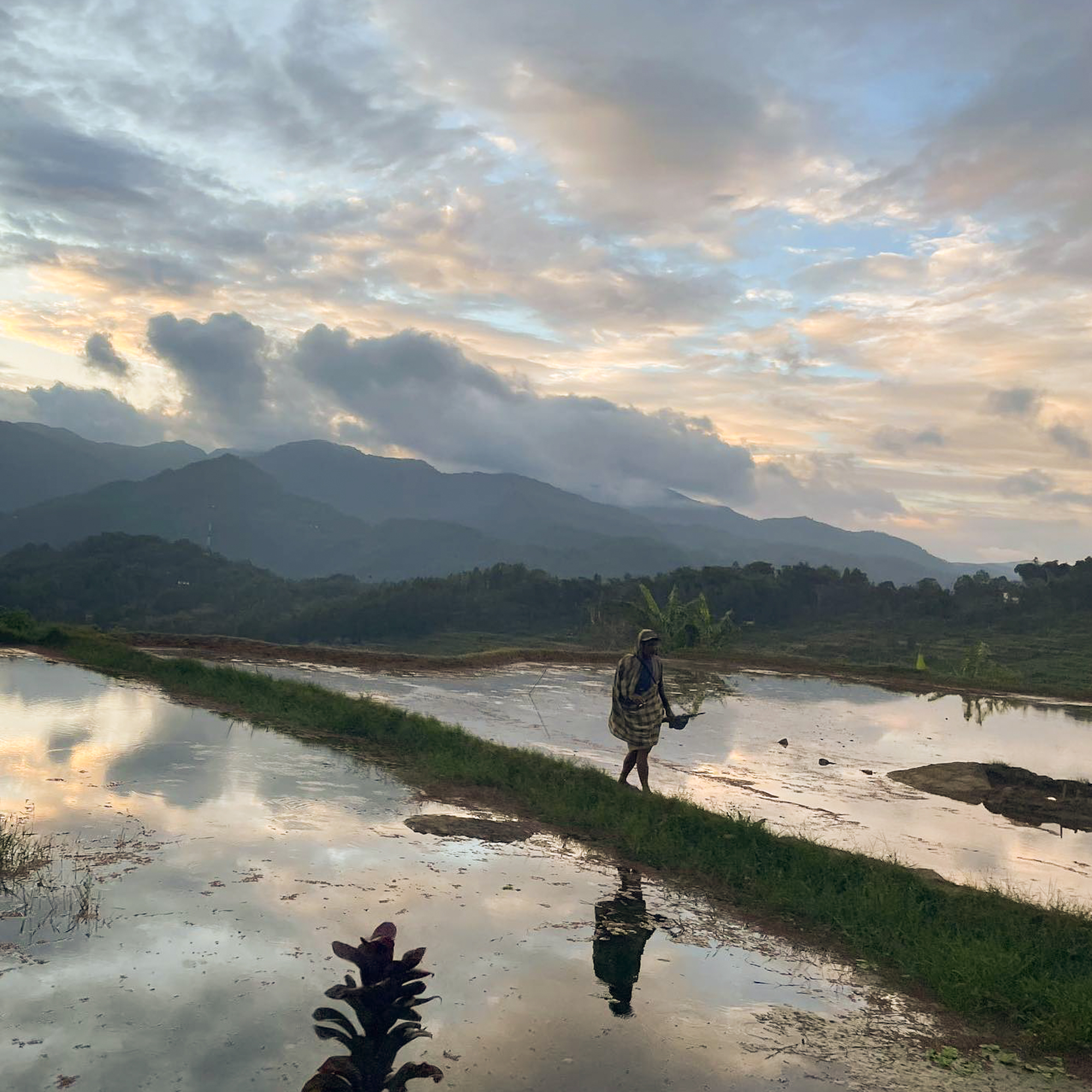 Toraja