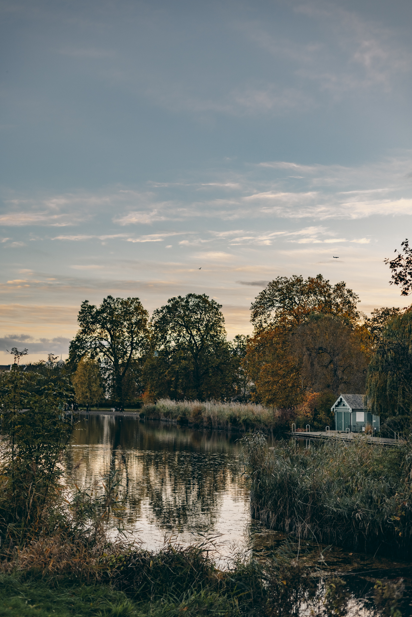 The Regent's Park 