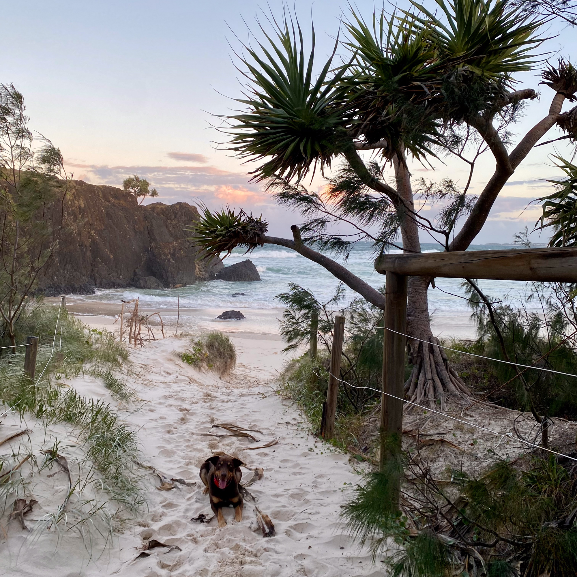 Fingal head