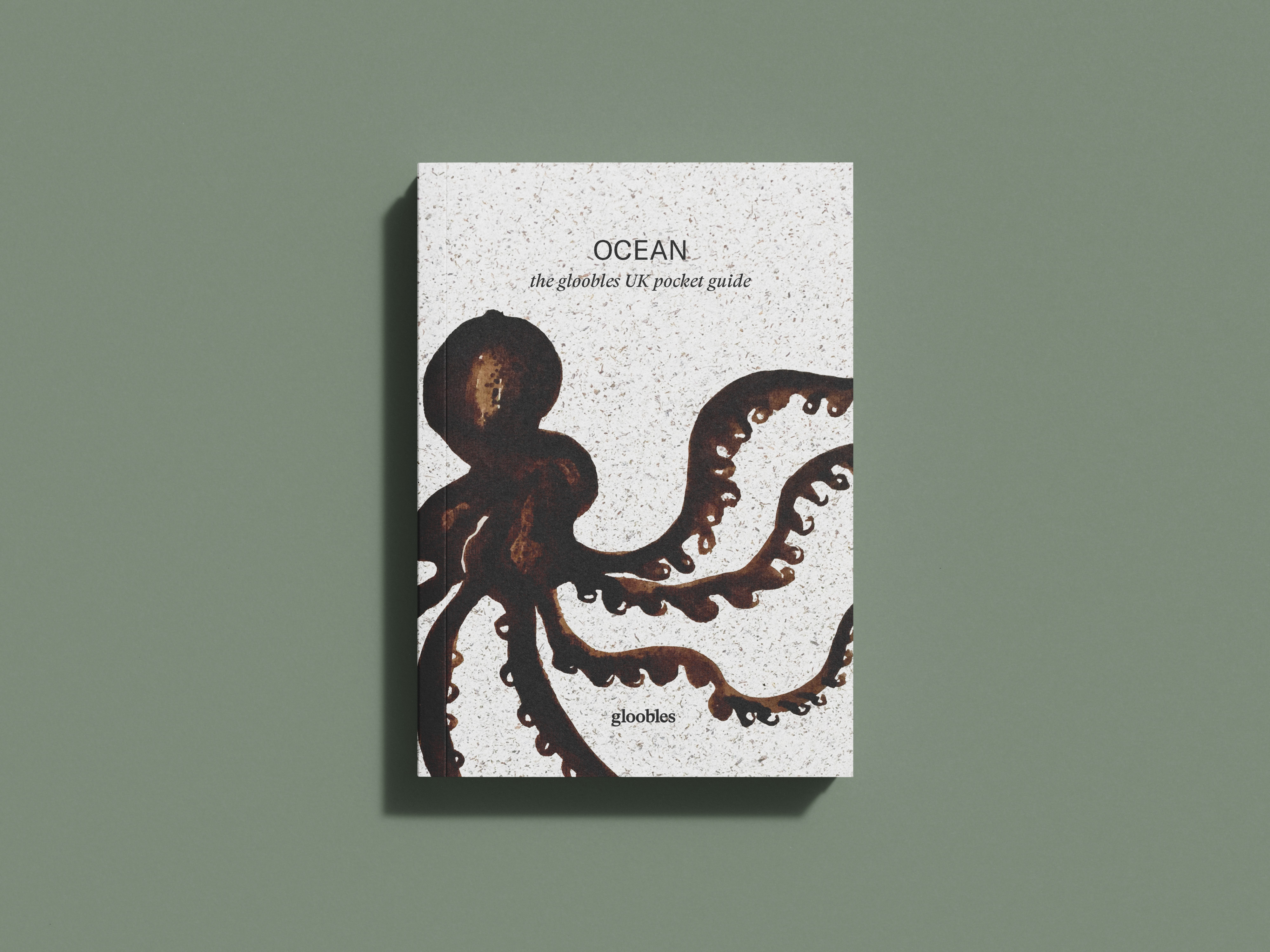 OCEAN the gloobles UK pocket guide