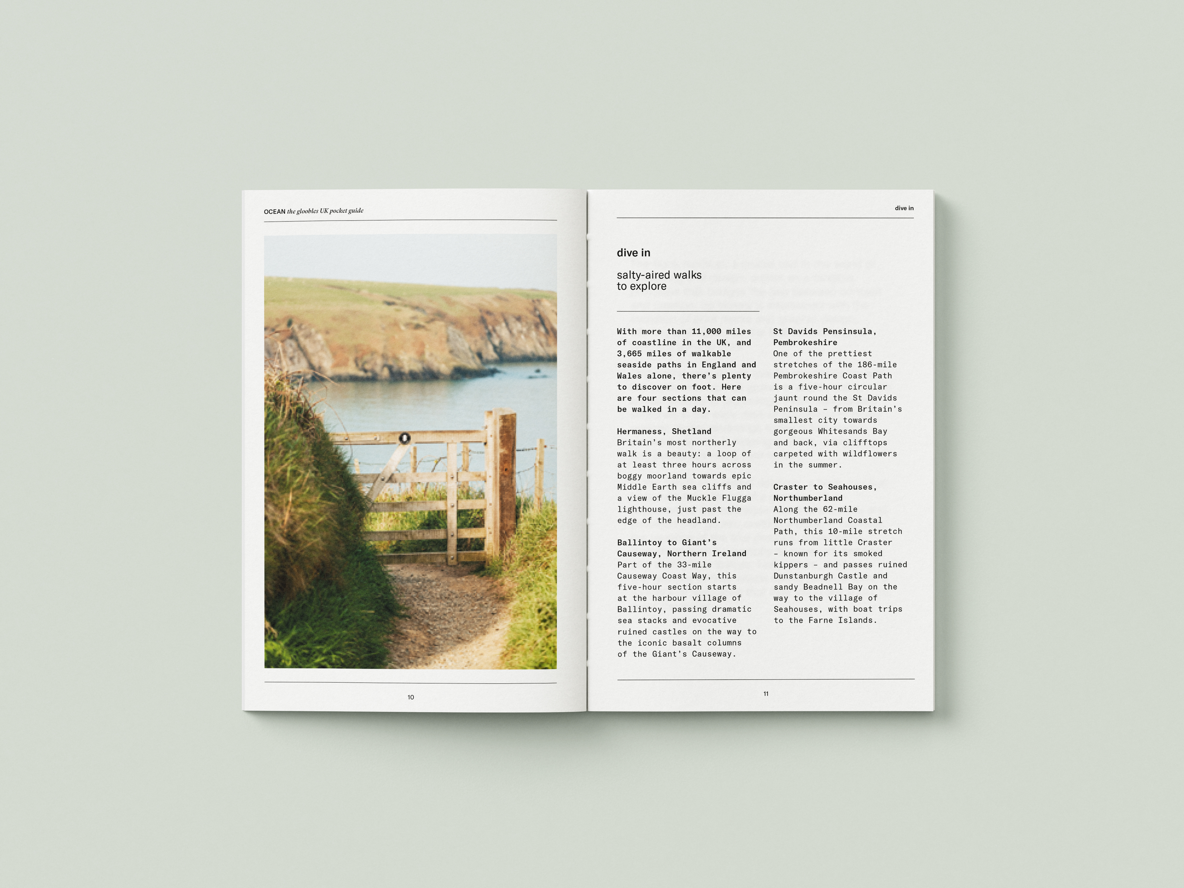 OCEAN the gloobles UK pocket guide