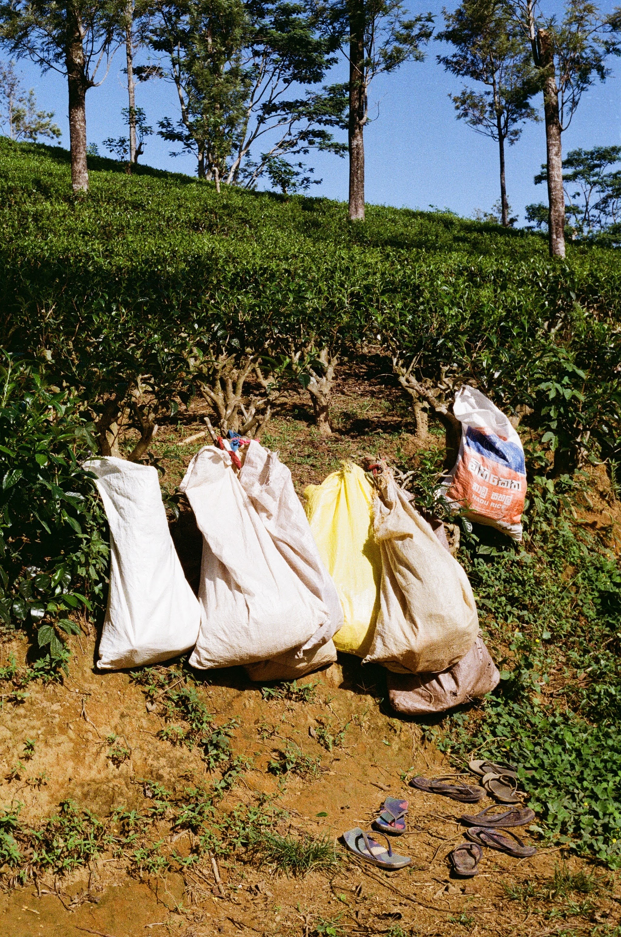 Sri Lanka