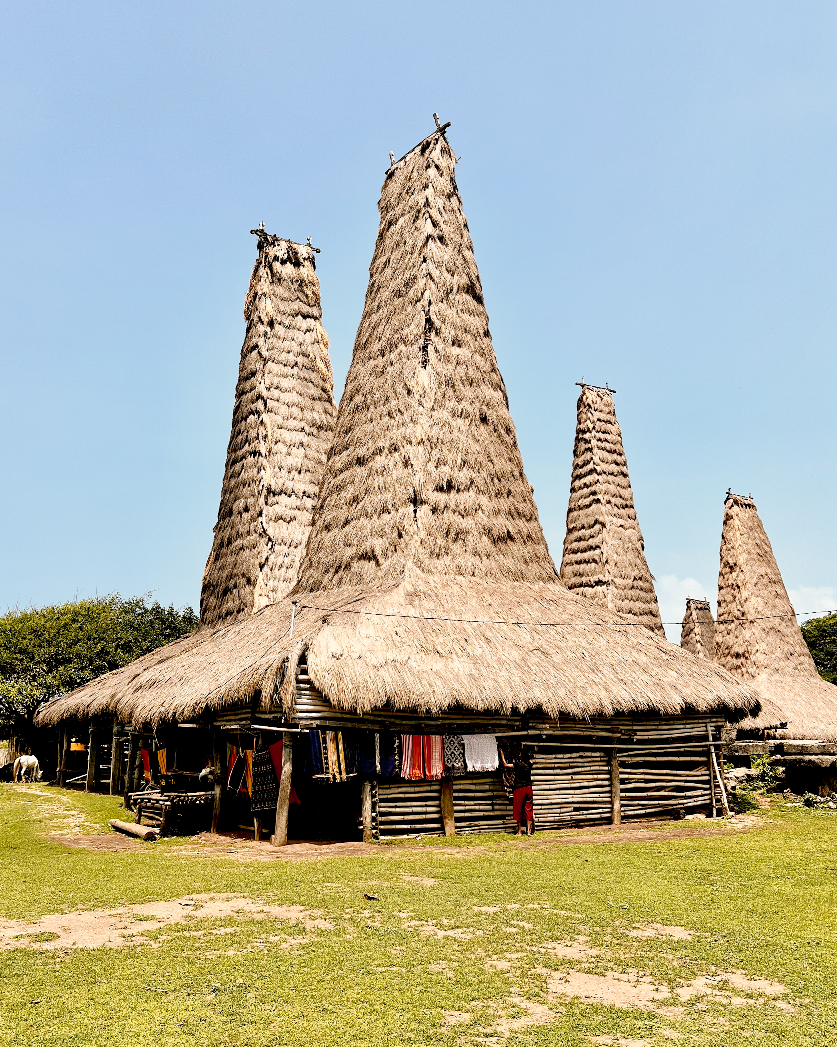 Maringi
