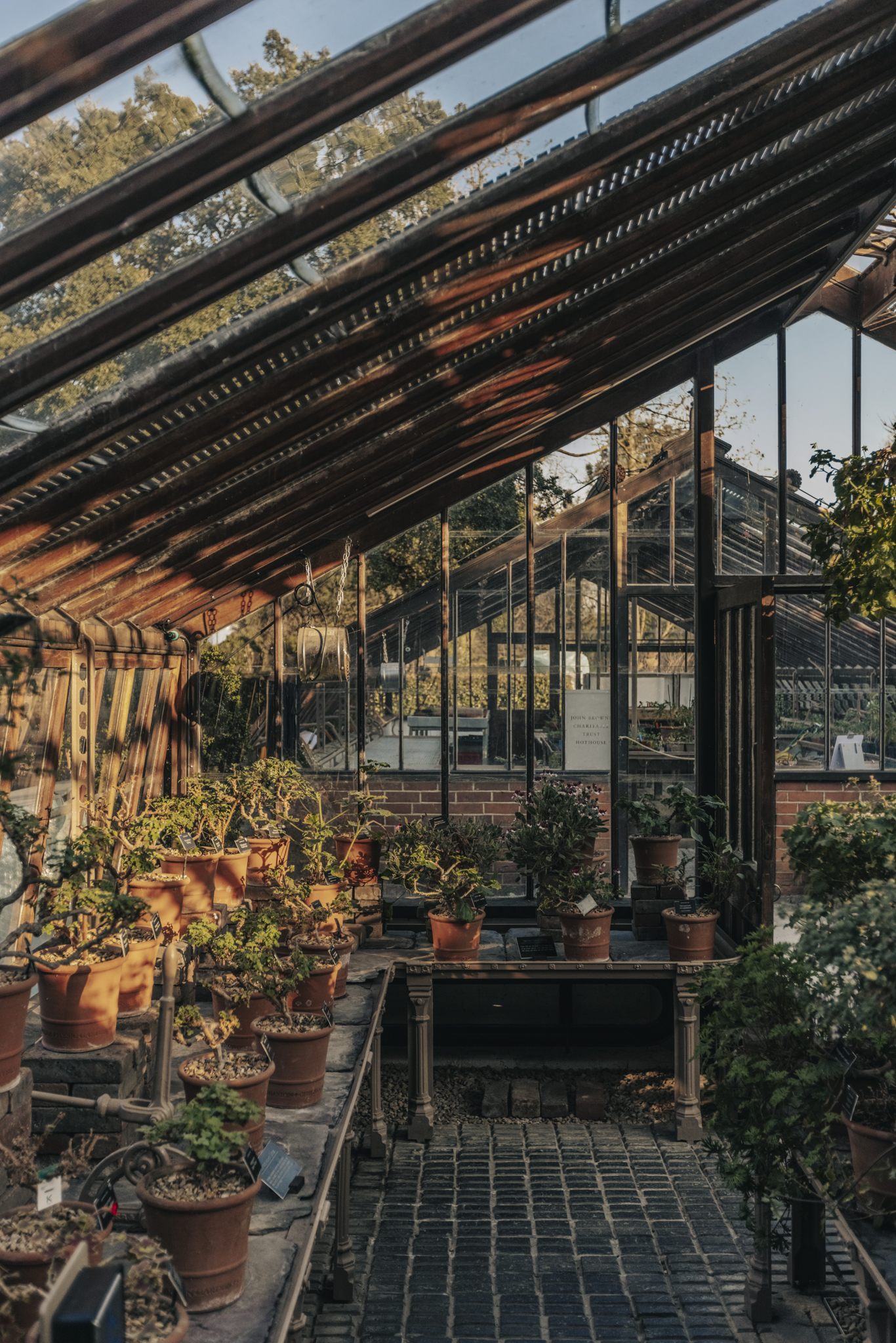 Chelsea Physic Garden
