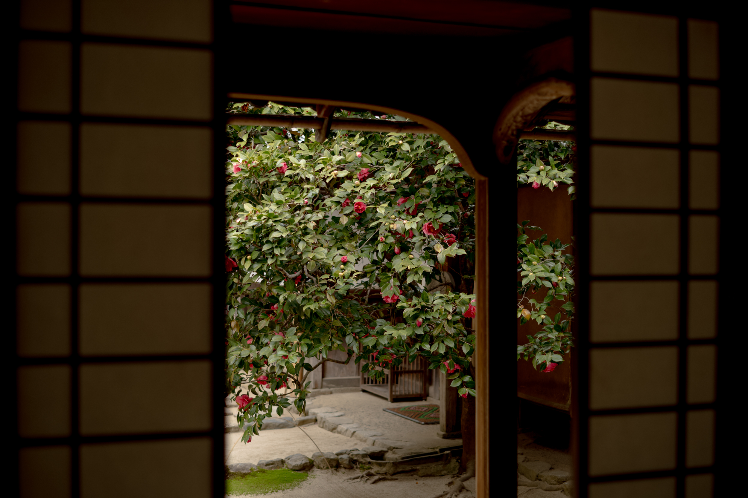 Shisendō Temple