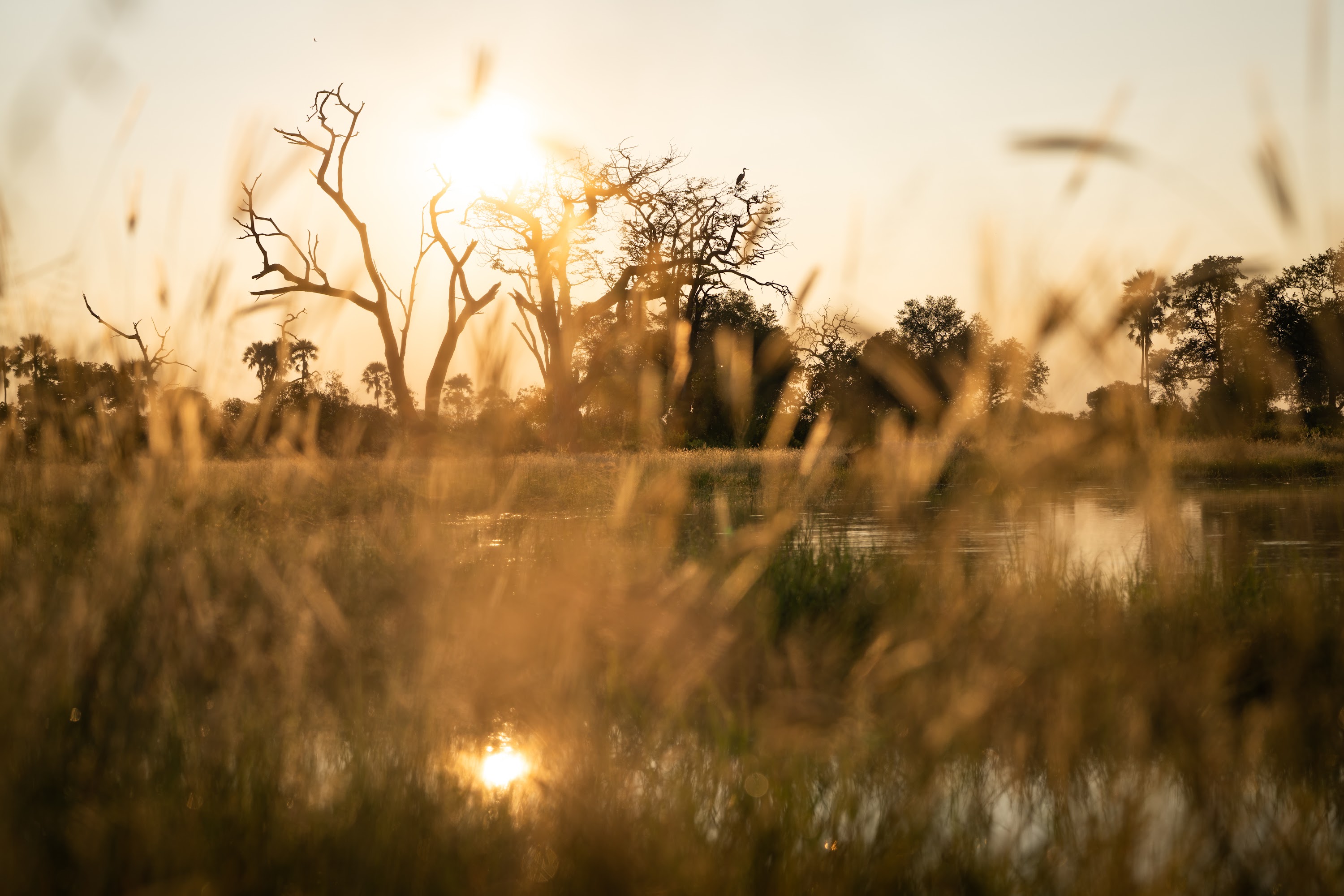 Singita Elela, Botswana 