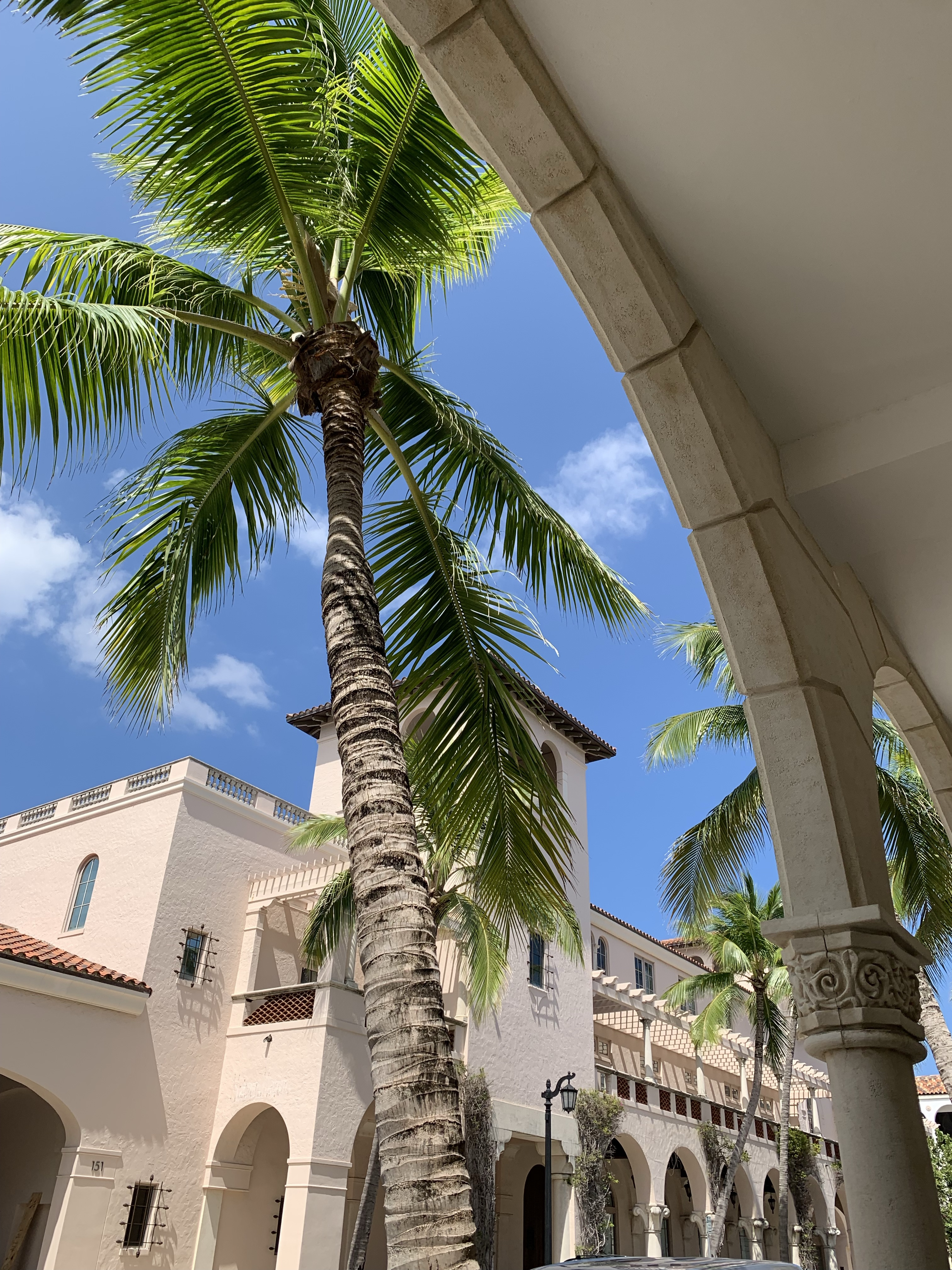 The Vineta, Miami