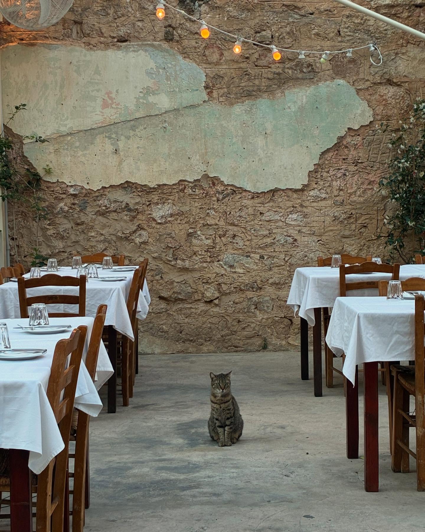 Taverna Ton Filon 