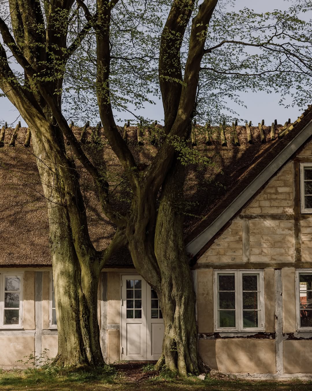 The Farm Residency
