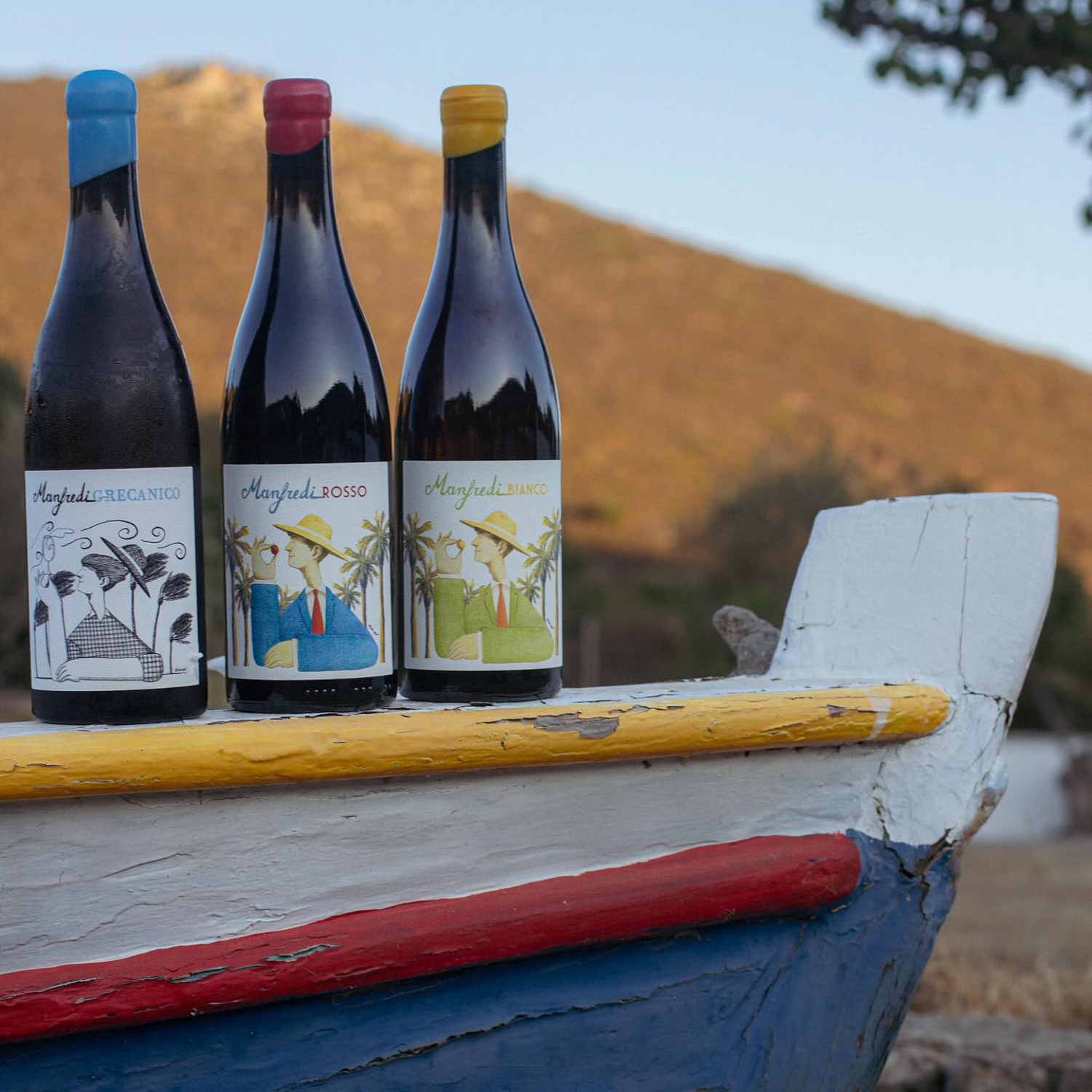 Manfredi Wines