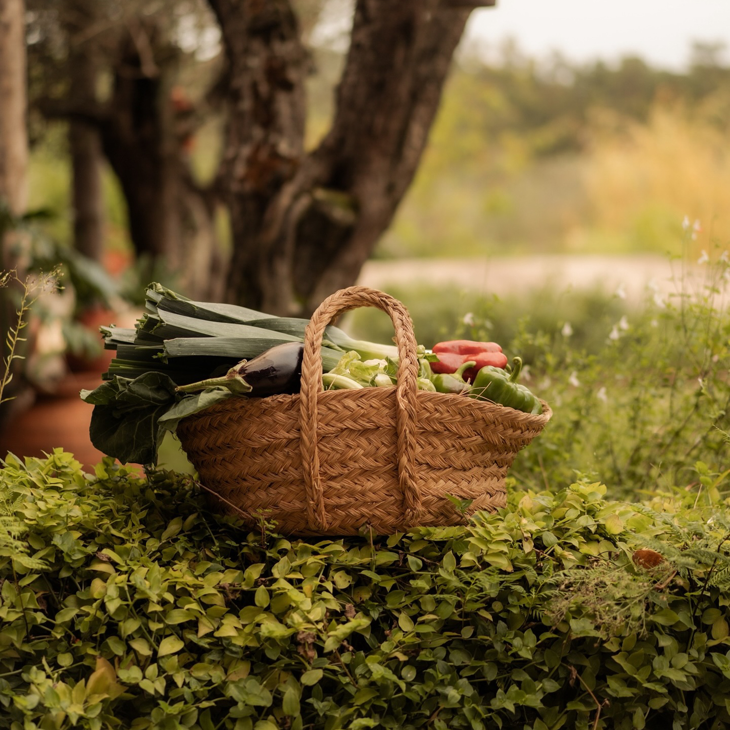 Seasonal produce