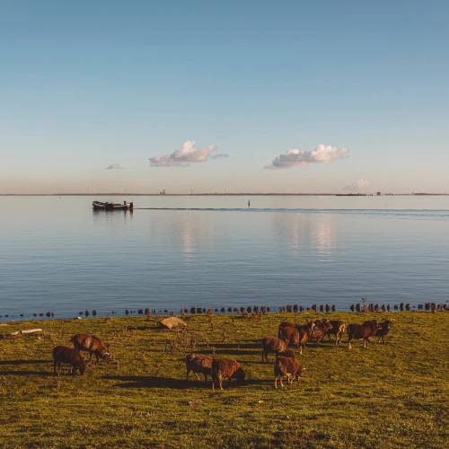 Durgerdam