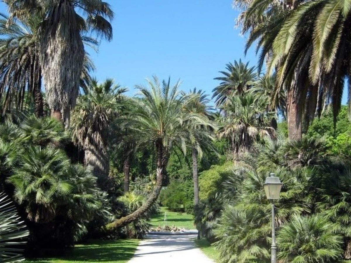 Botanical Garden of Rome