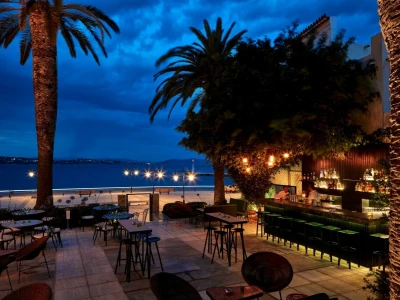 Palms The Bar