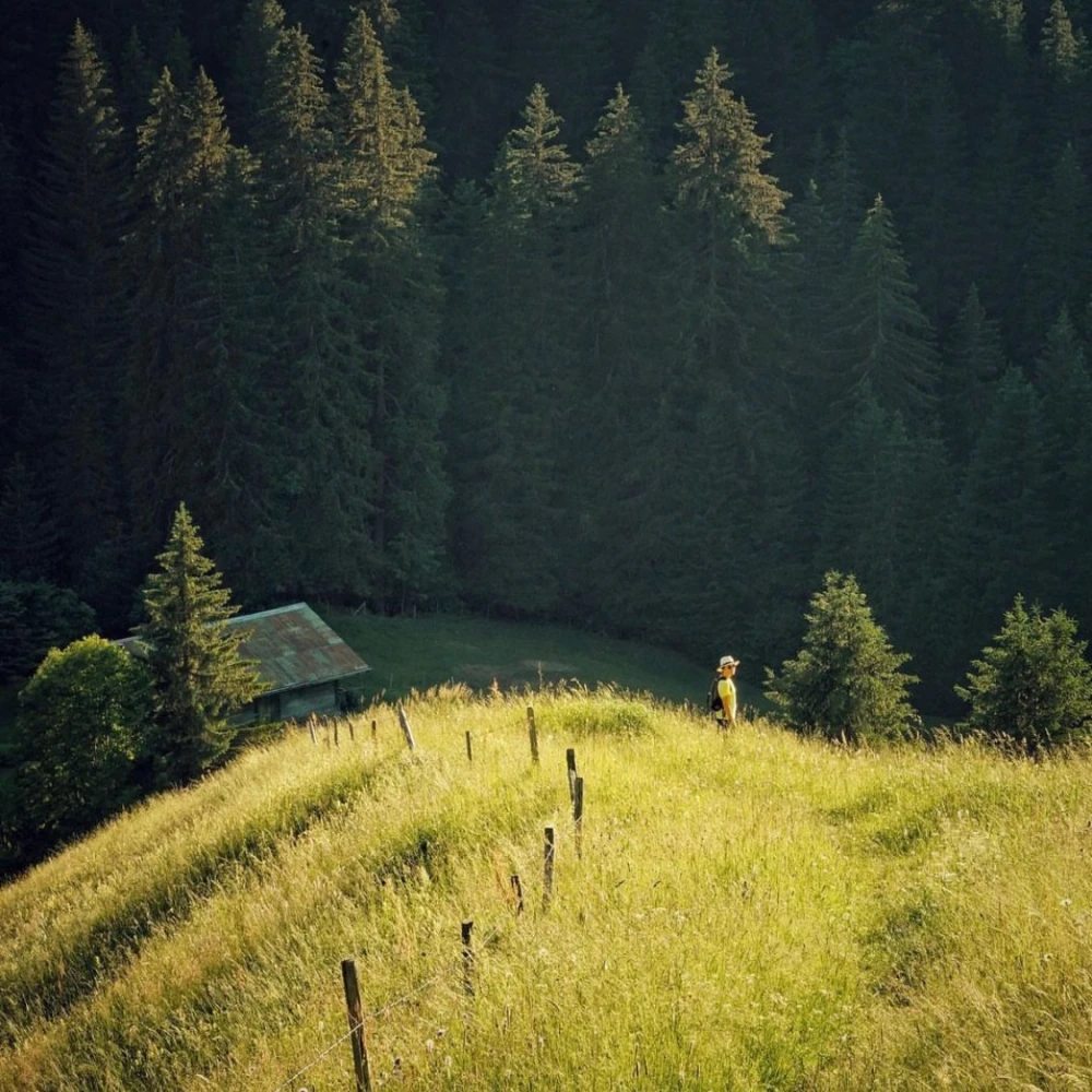 Le Refuge