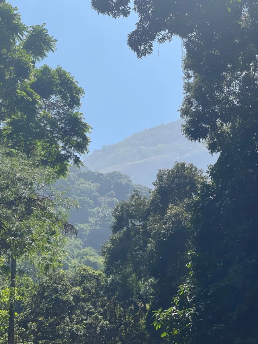 Parque Lage