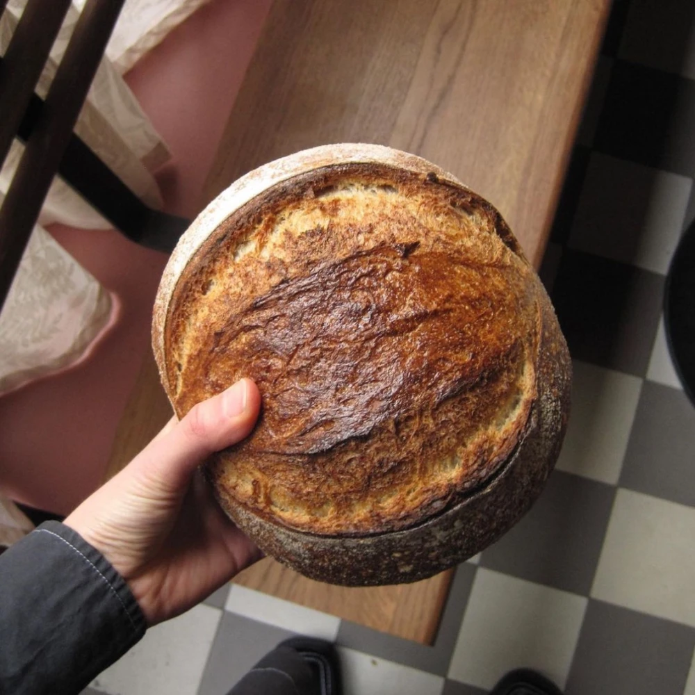 Ravintola Nolita