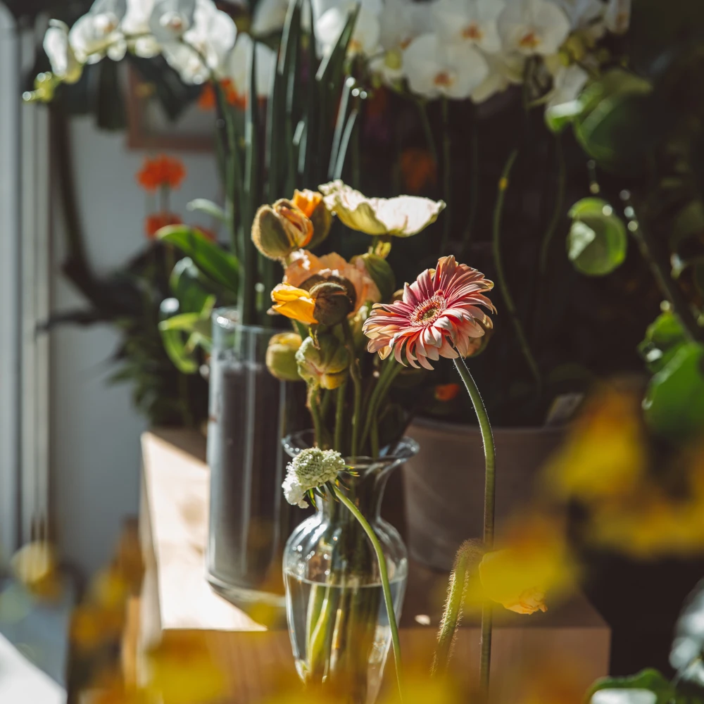 FlowerLovesMe