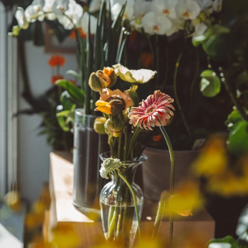 FlowerLovesMe