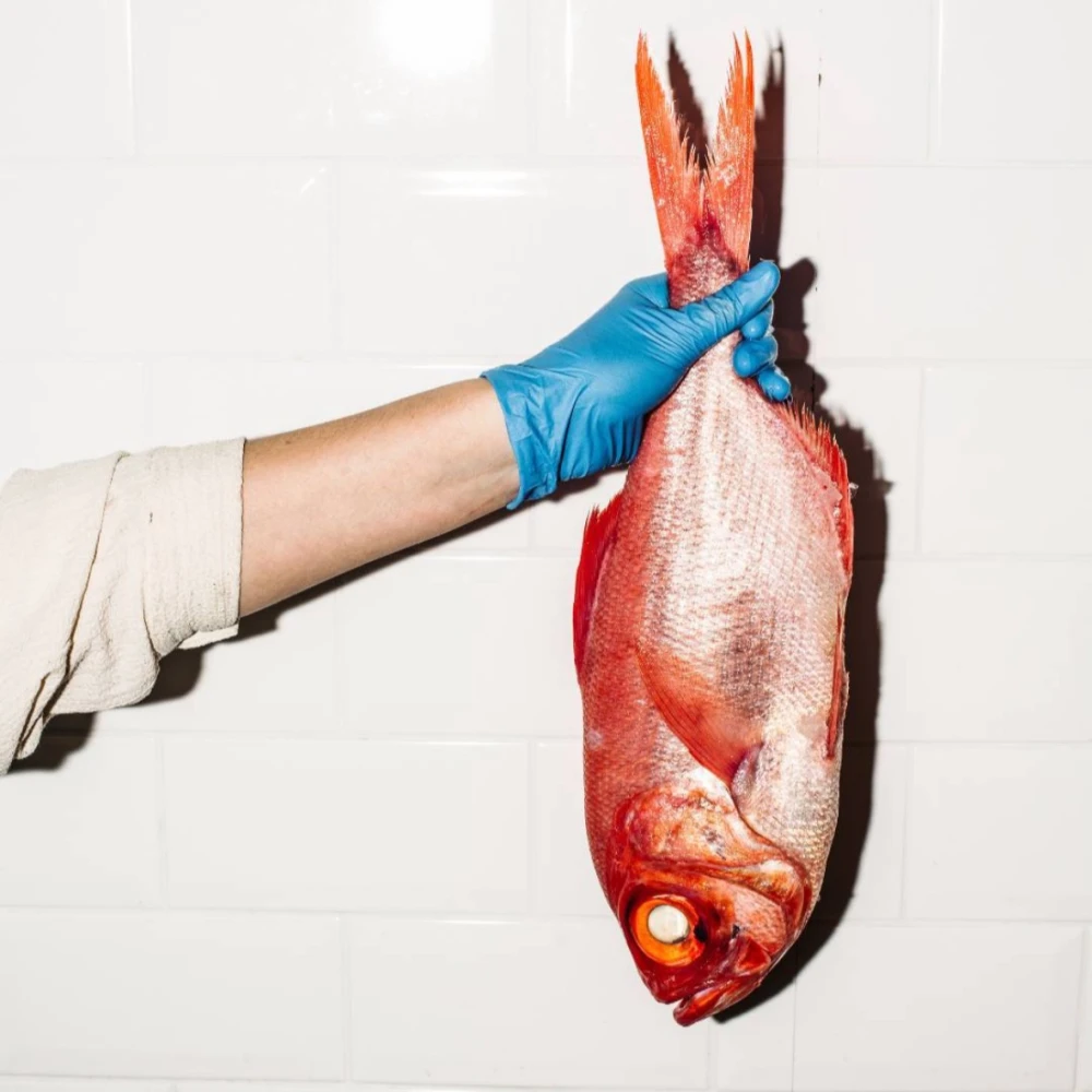 Sydney Fish Market