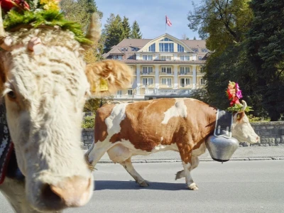 Le Grand Bellevue