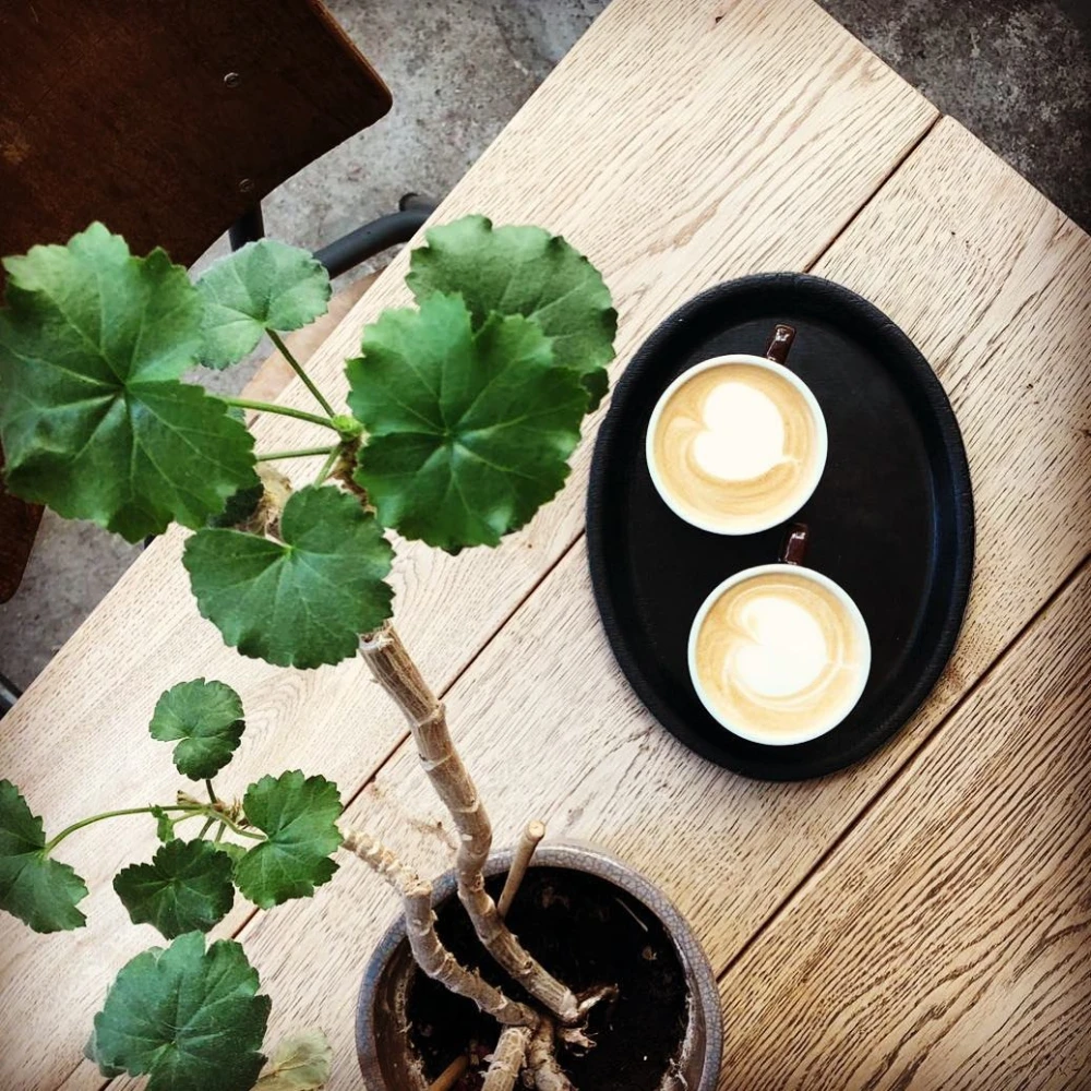 Hopper Coffee Rotterdam