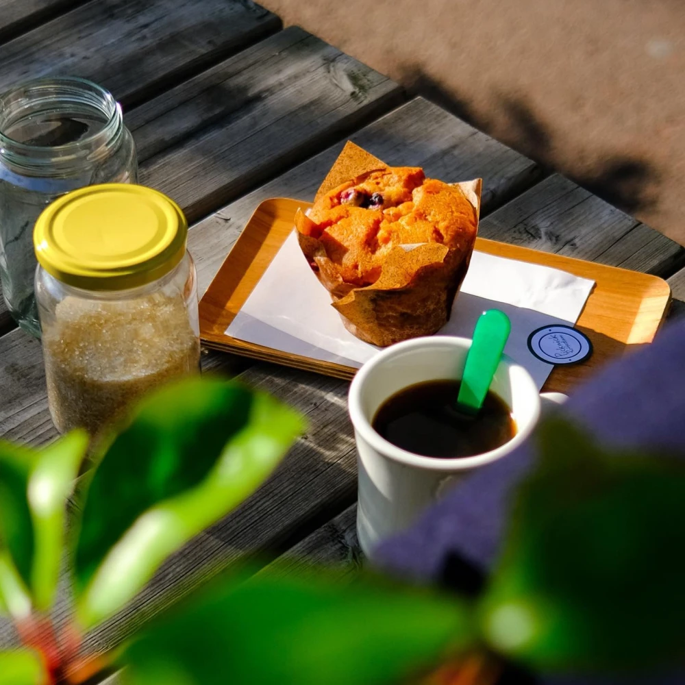 Picknick Rotterdam