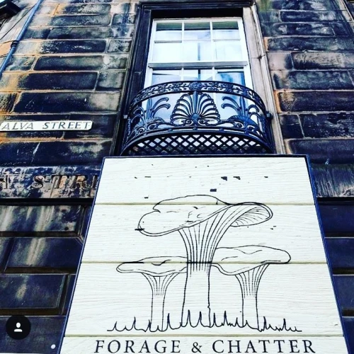 Forage & Chatter