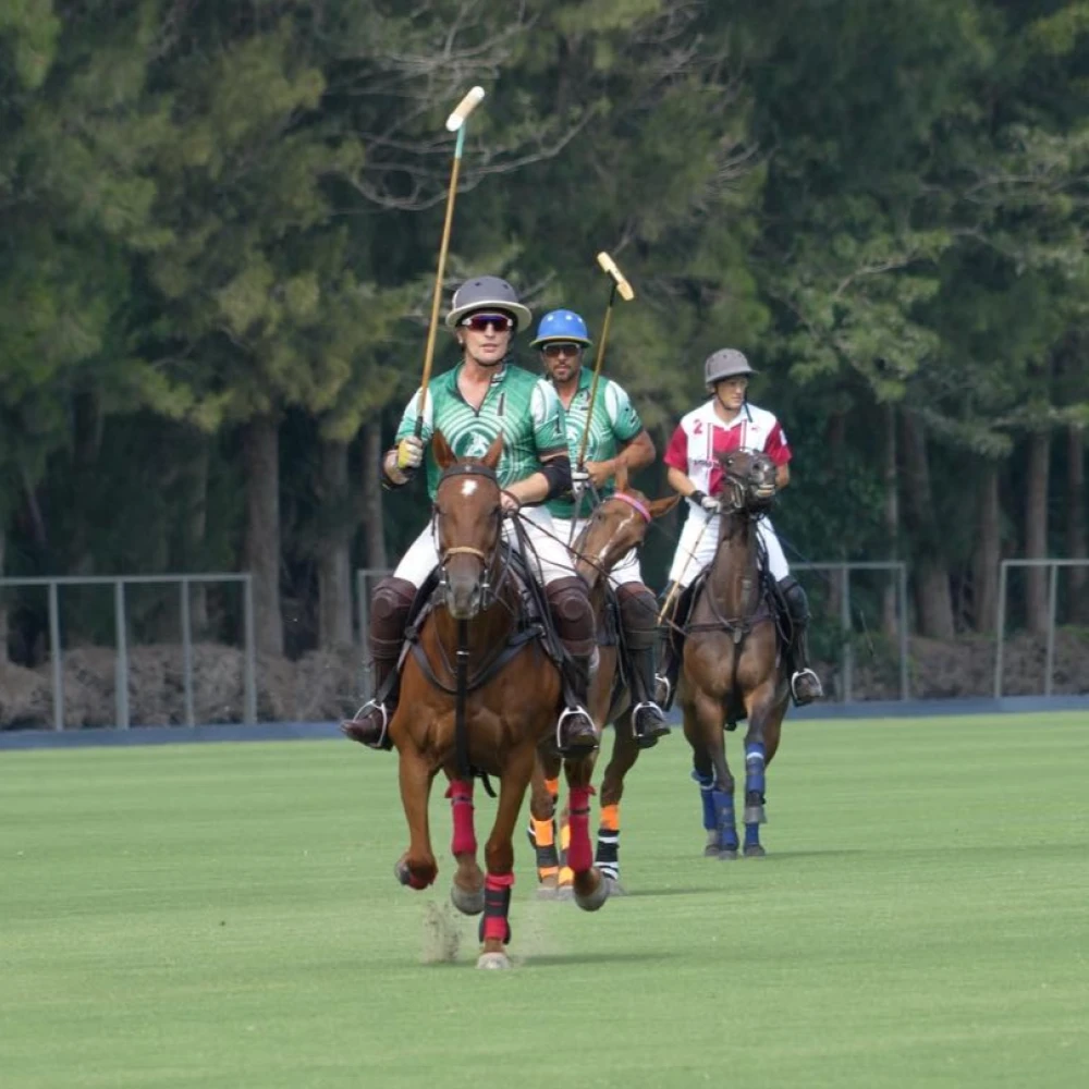Ayala Polo Club