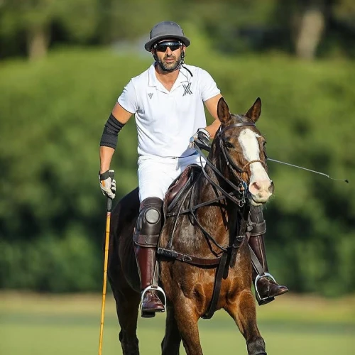 Ayala Polo Club