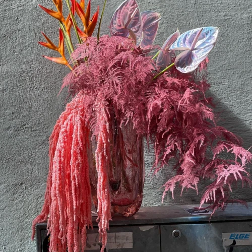 Christoffers Blommor 