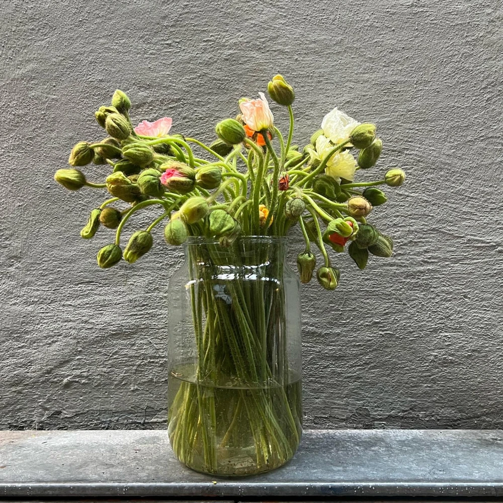 Christoffers Blommor 
