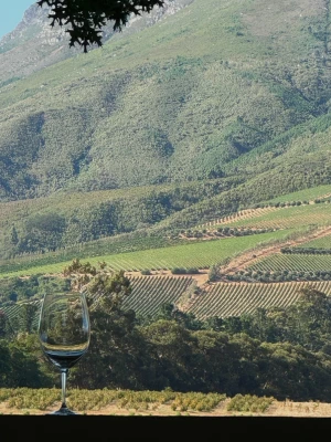 Delaire Graff Estate
