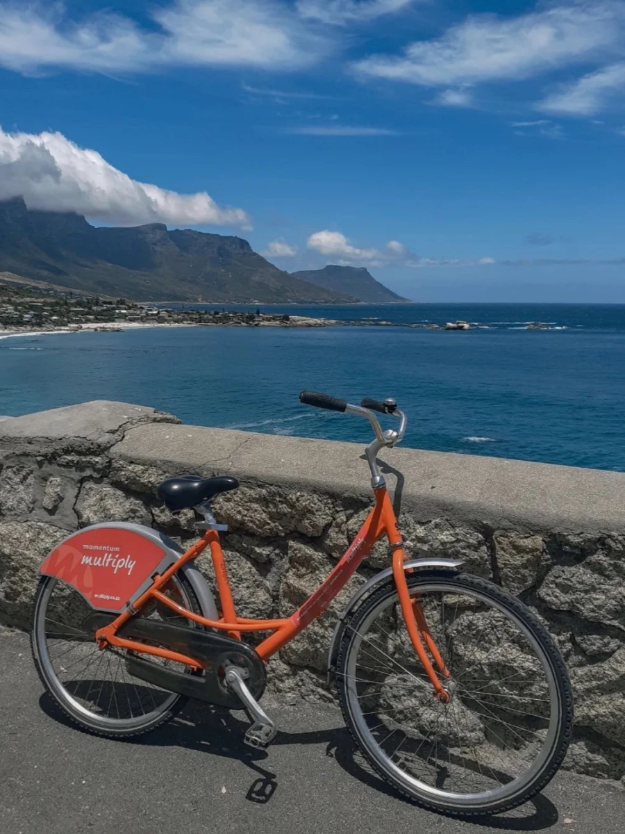 Up Cycles Sea Point