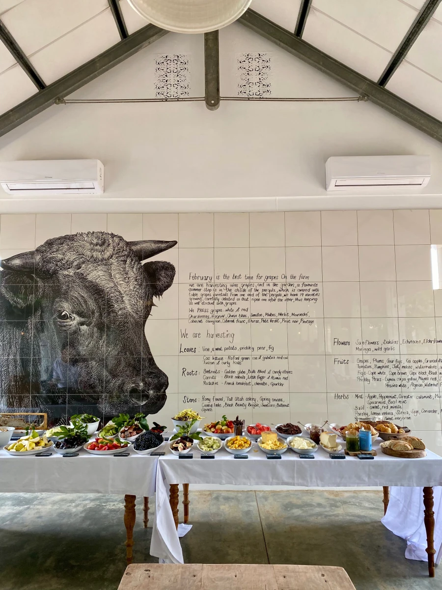 Babylonstoren Wine Estate