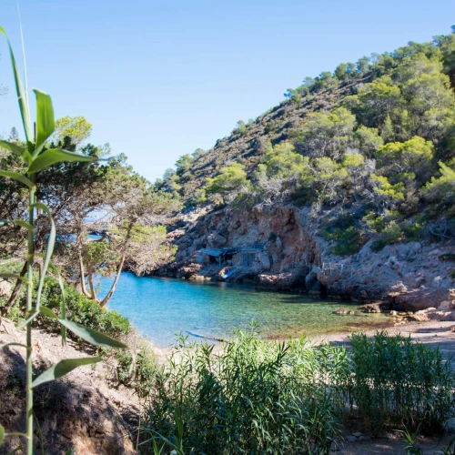Cala Xuclar