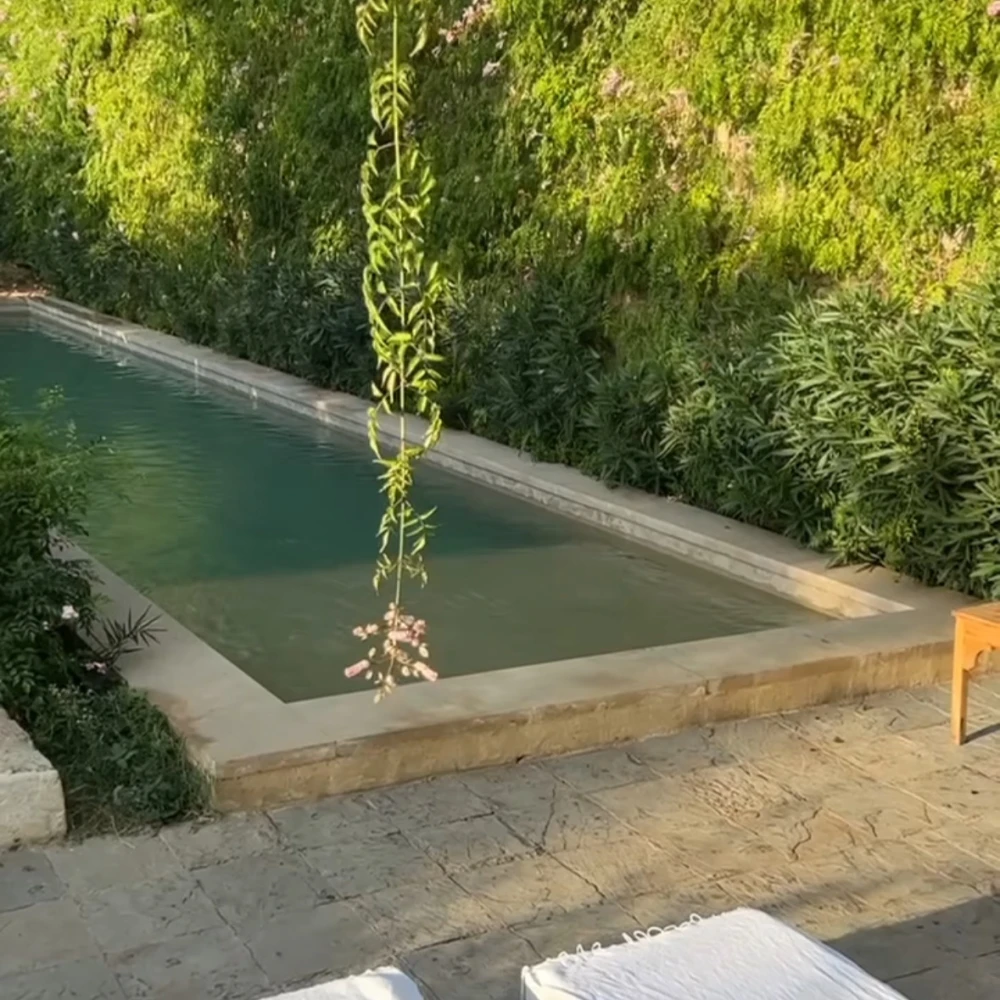 Mimi Calpe